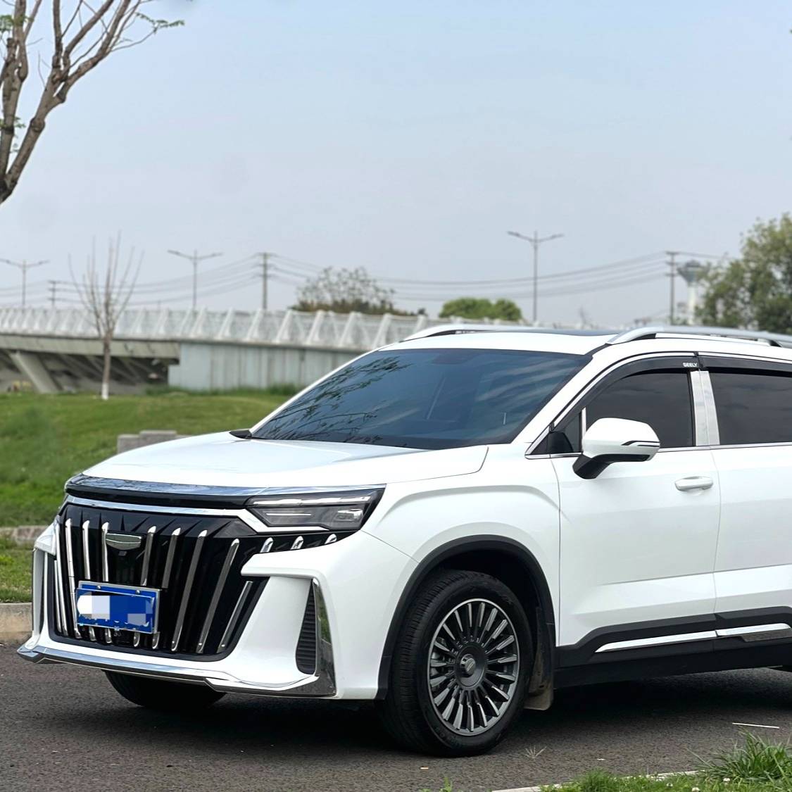 Geely 2024 Okavango 2.0T DCT flagship model 二手车