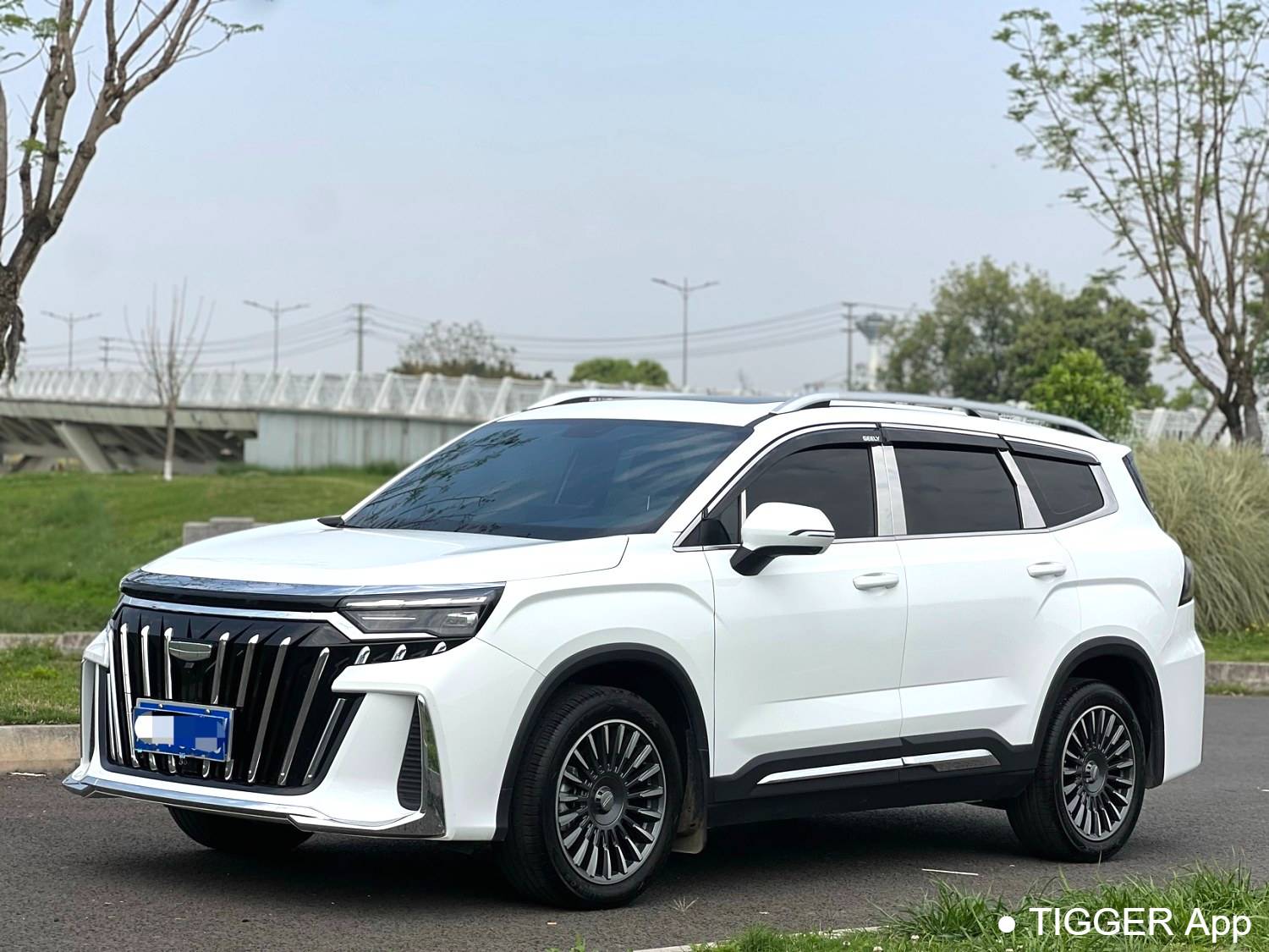 used Geely 2024 Okavango 2.0T DCT flagship model