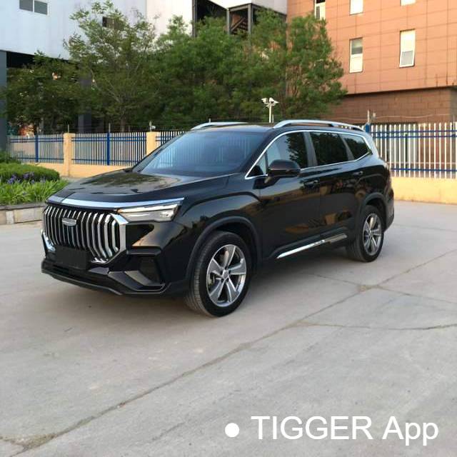 Geely 2023 Okavango 2.0T DCT Prestige Model 二手车