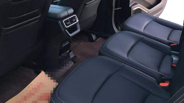 Geely 2023 Okavango 2.0T DCT Prestige Model