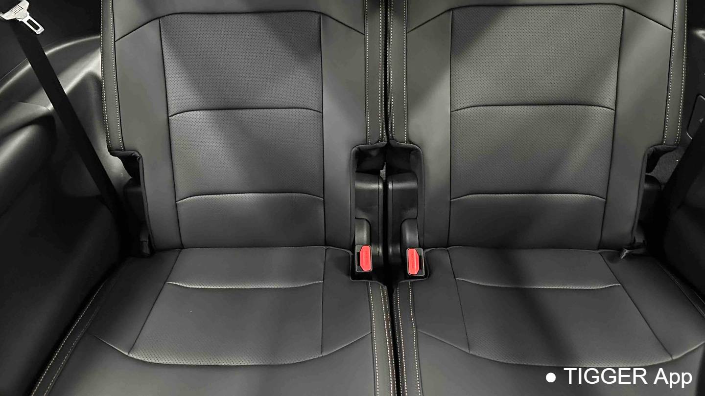 Geely 2025 Okavango 2.0T DCT Premium Edition