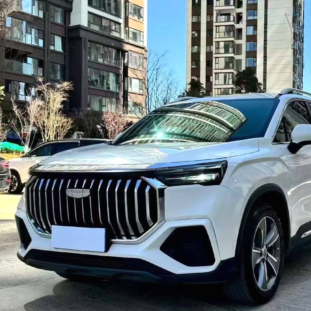 Geely 2023 Okavango 2.0T DCT Luxury Model 二手车