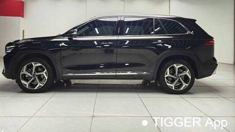 Geely 2024 Monjaro 2.0TD high-power automatic two wheel drive cloud version