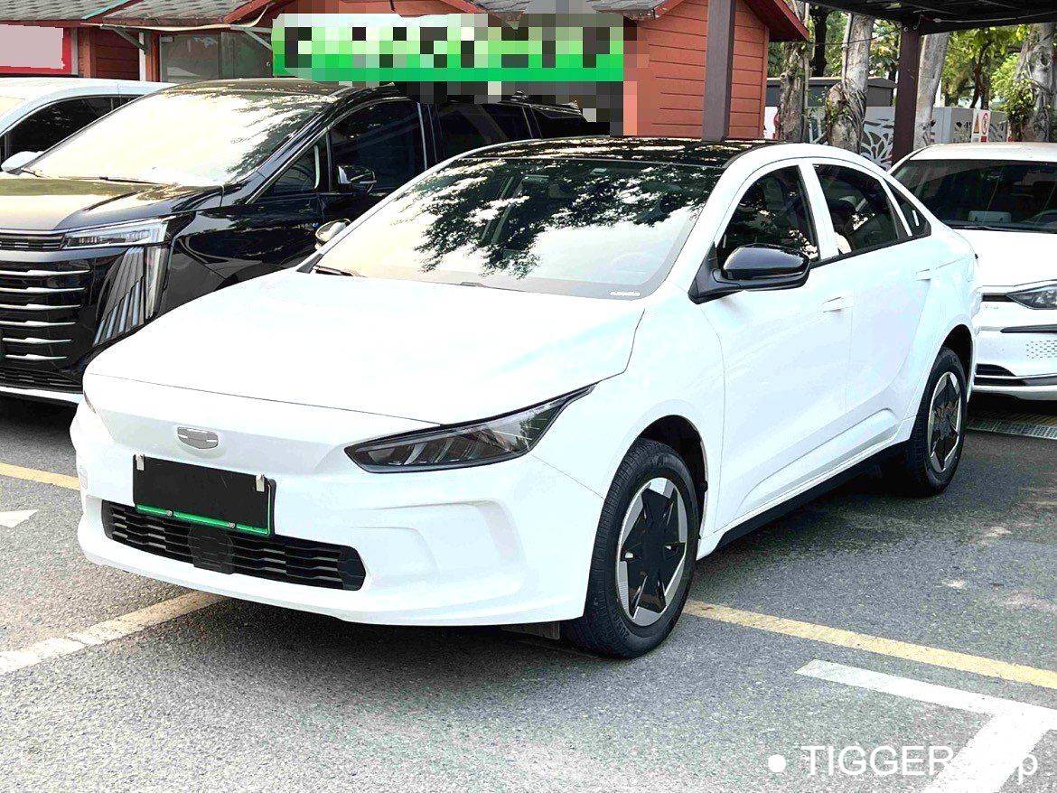 二手GEOME 2024 A 500KM Travel Edition