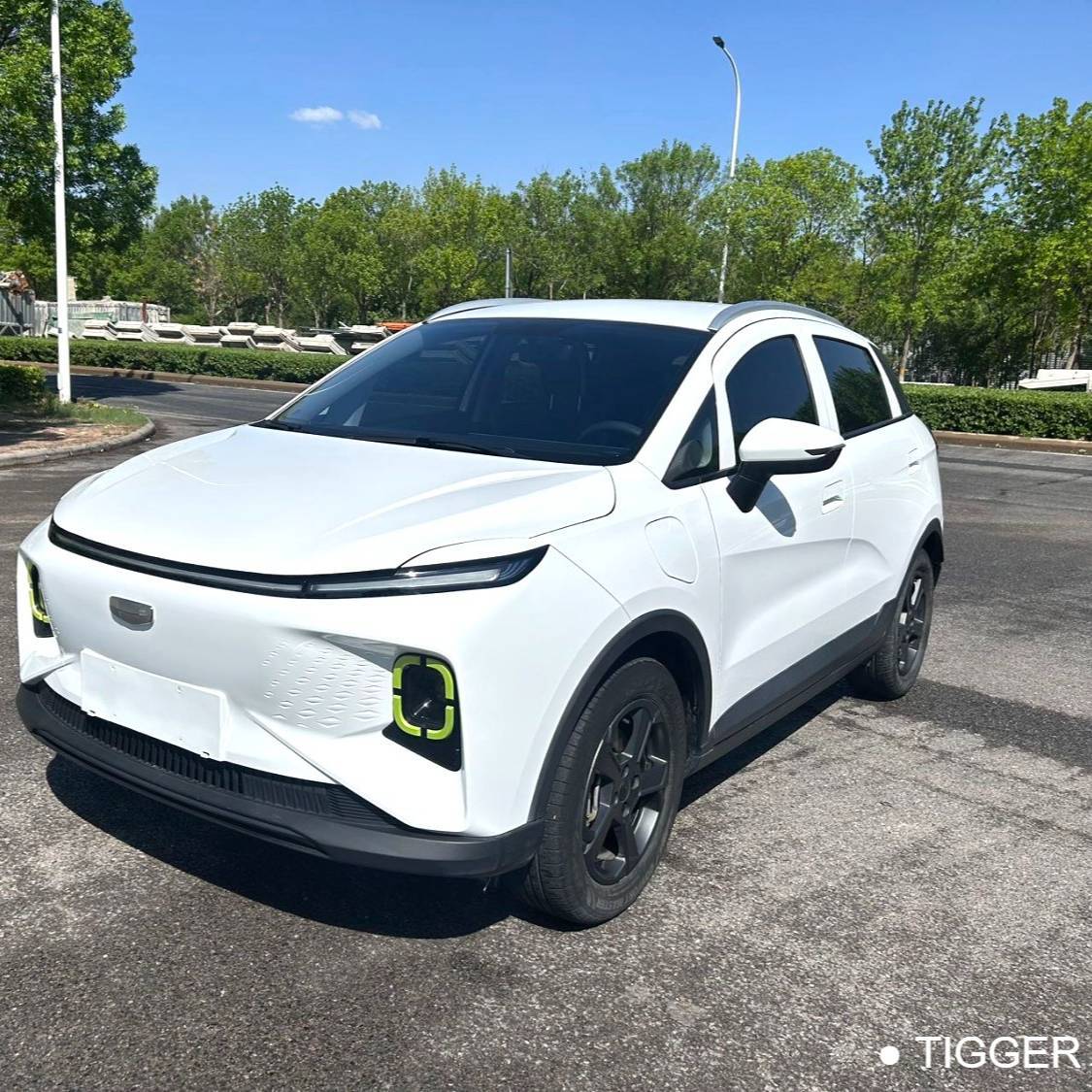 GEOME 2023 E 320KM Handsome Tiger with 5 seats 二手车