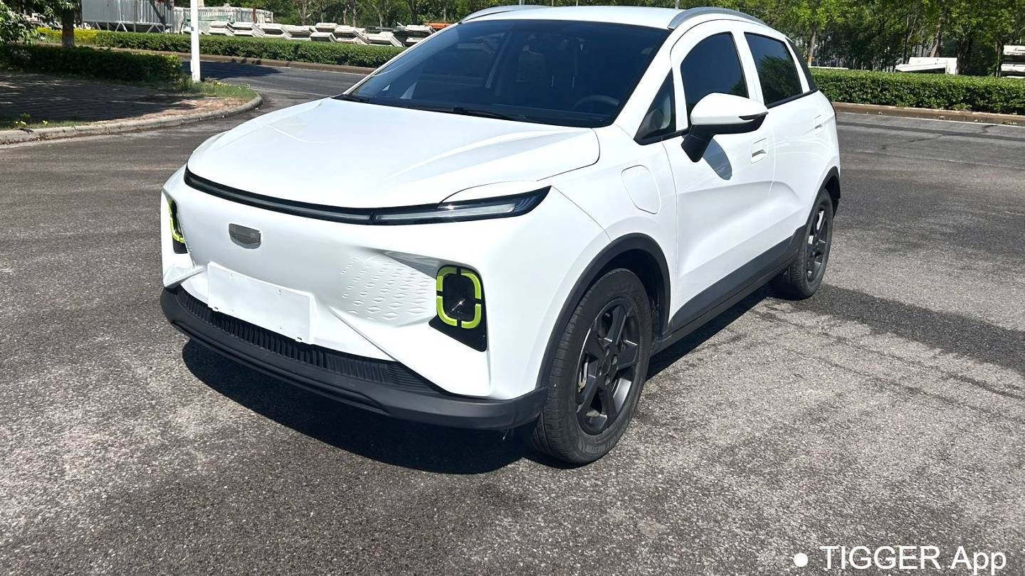 GEOME 2023 E 320KM Handsome Tiger with 5 seats