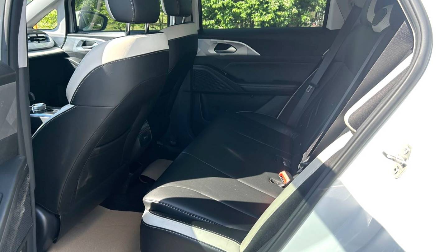 GEOME 2023 E 320KM Handsome Tiger with 5 seats