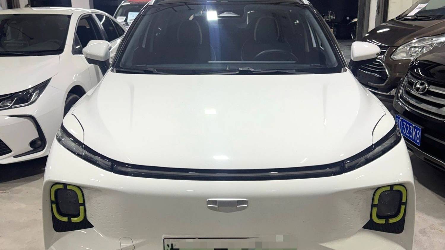 GEOME 2023 E 401KM Thunderbolt Tiger with 5 seats