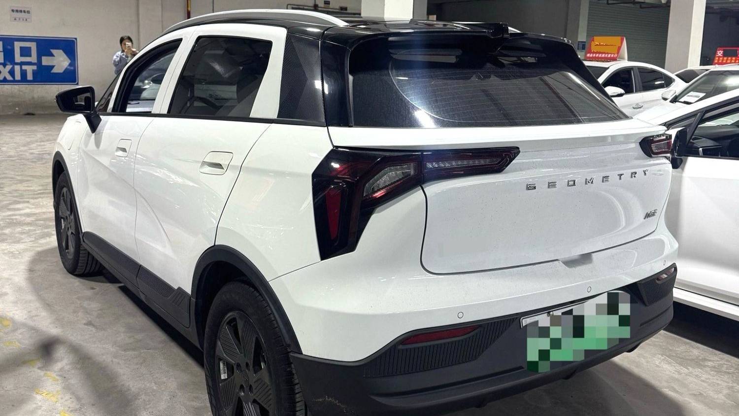 GEOME 2023 E 401KM Thunderbolt Tiger with 5 seats