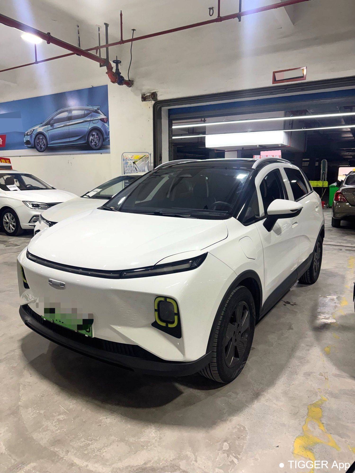 二手GEOME 2023 E 401KM Thunderbolt Tiger with 5 seats