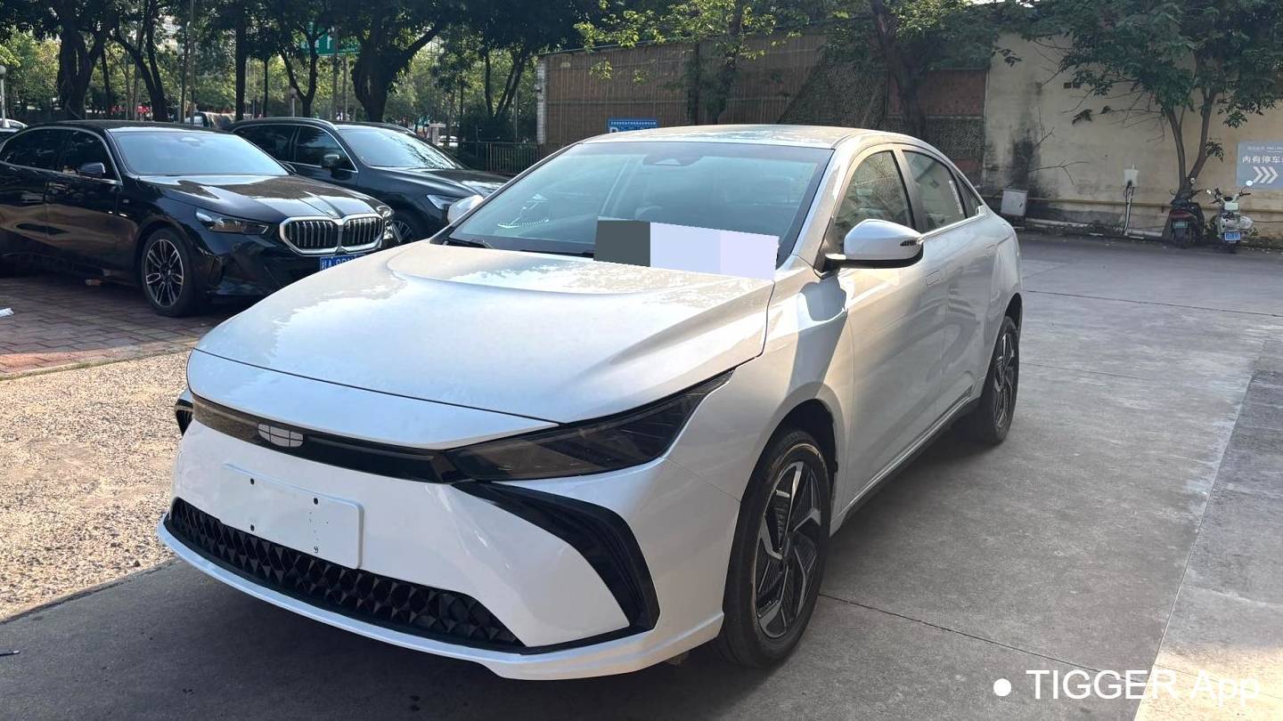 GEOME 2024 G6 500KM Prestige Type
