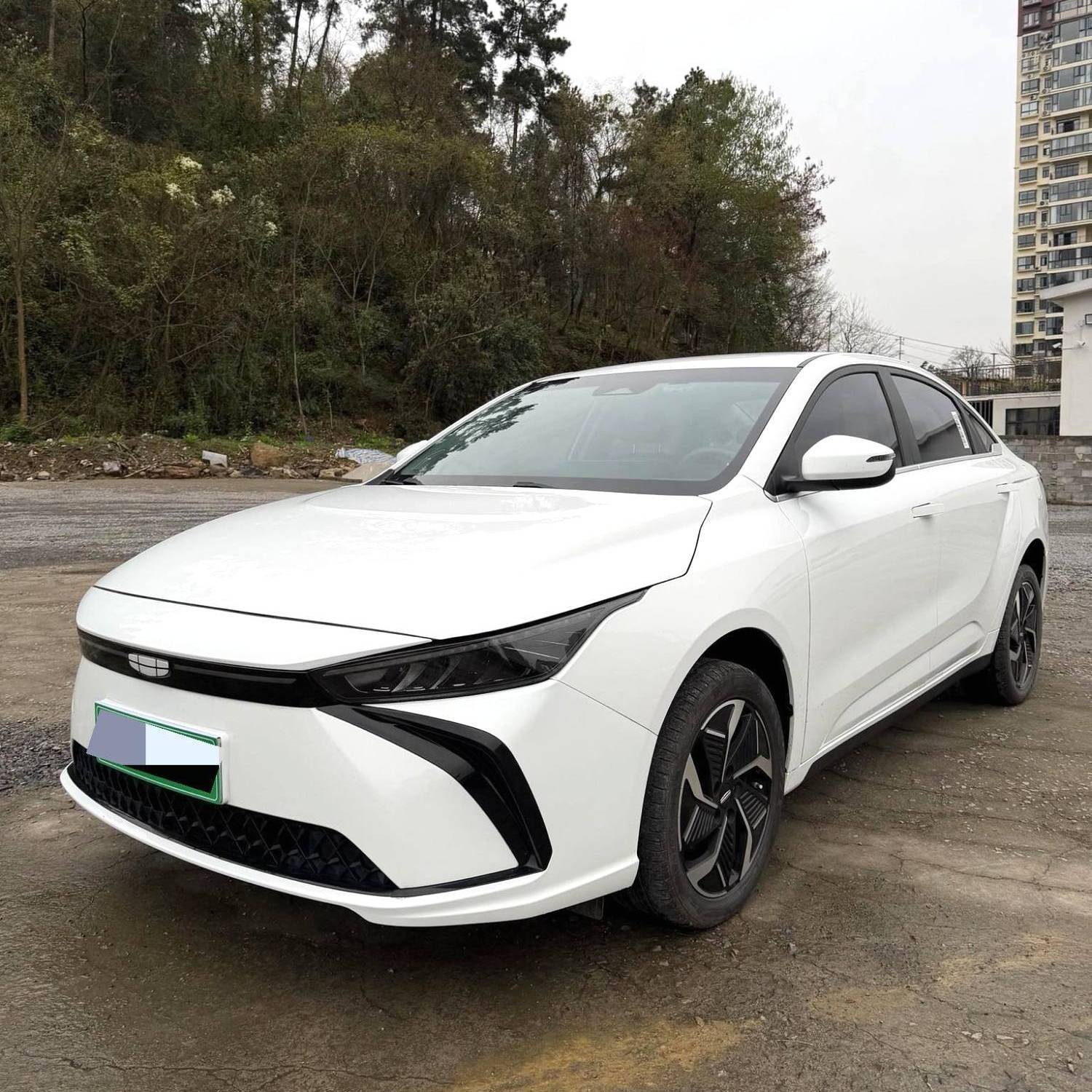 GEOME 2024 G6 500KM Official Edition 二手车