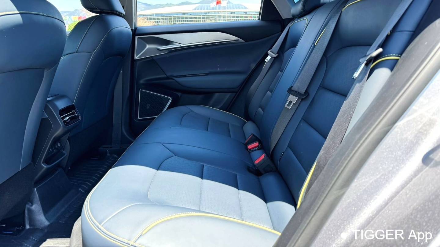 GEOME 2024 G6 500KM Prestige Type