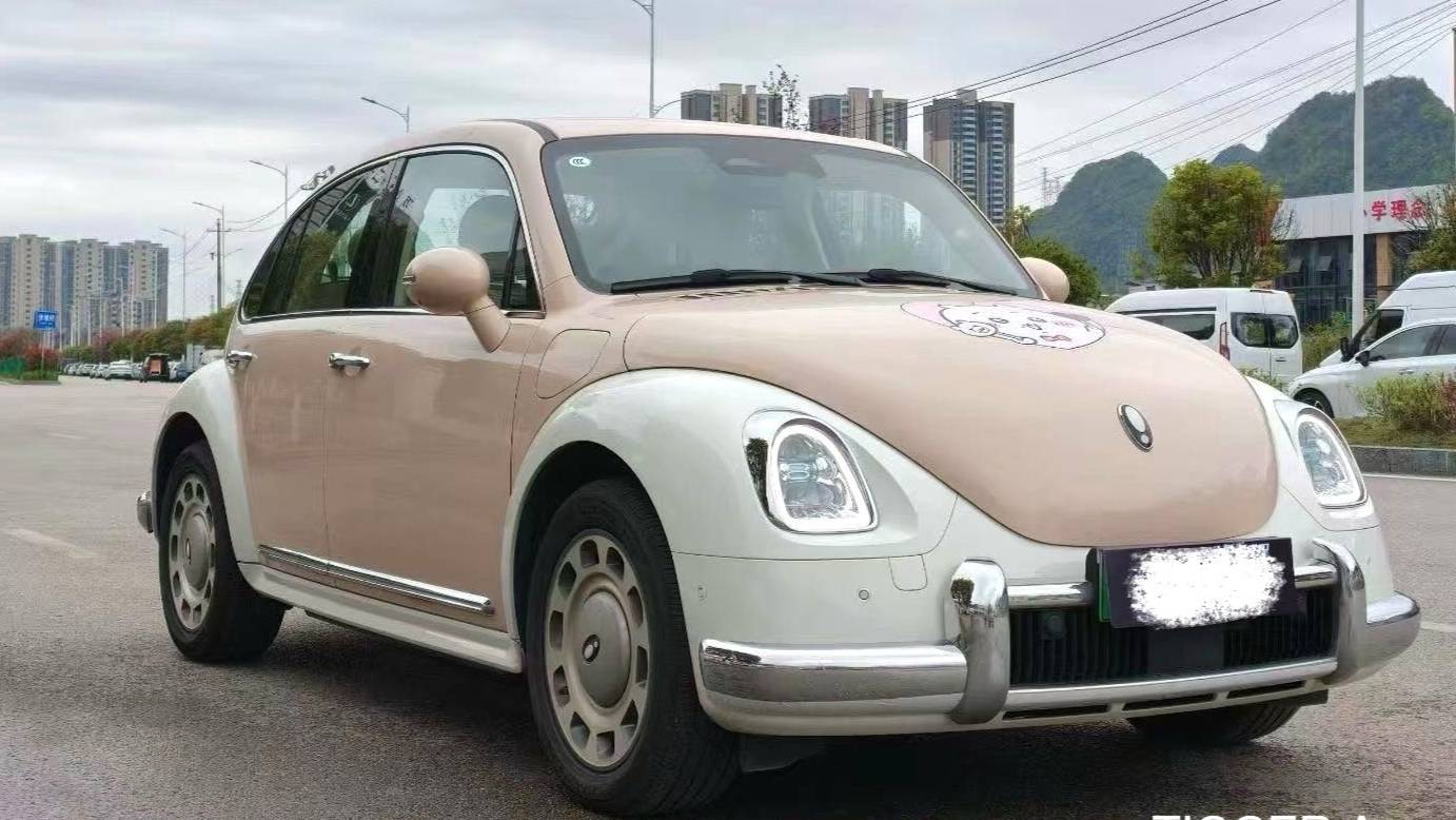ORA 2023 Ballet Cat 401km Luxury Type