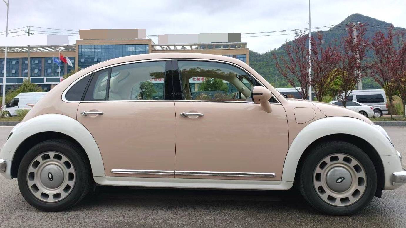 ORA 2023 Ballet Cat 401km Luxury Type