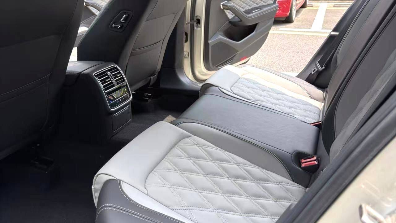 Volkswagen 2023 Magotan 2 million commemorative edition 330TSI DSG leading model
