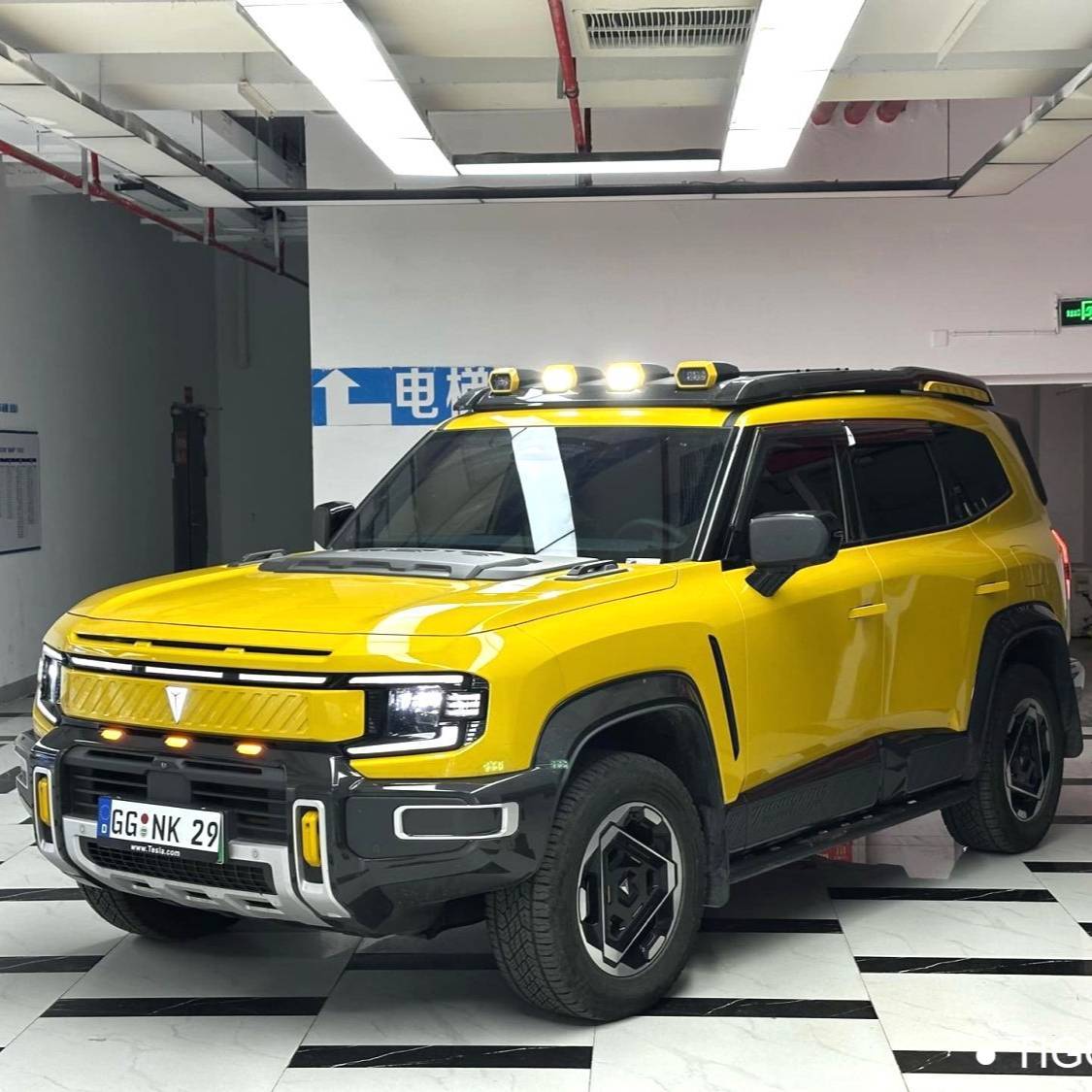 DEEPAL 2025 G318 Worry Free Time Travel Edition 4WD Secret Realm Edition 二手车