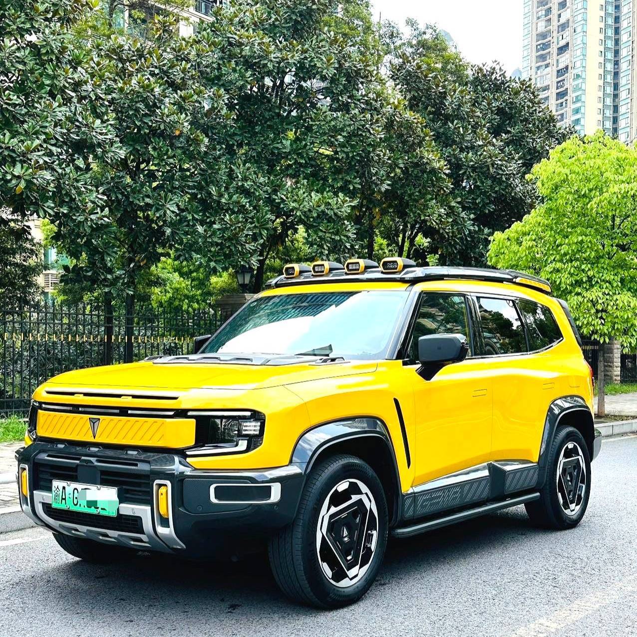 DEEPAL 2025 G318 Worry Free Time Travel Edition 4WD Secret Realm Edition 二手车