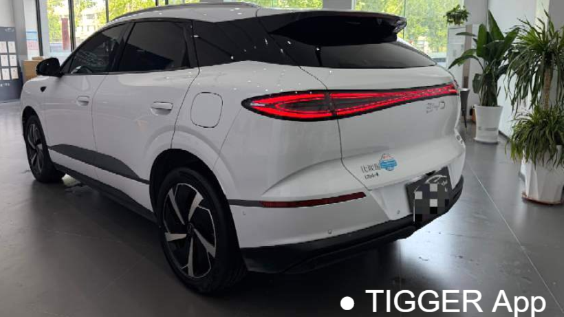 BYD 2025 Sea Lion 06 DM-i 170 Navigation Pro Edition