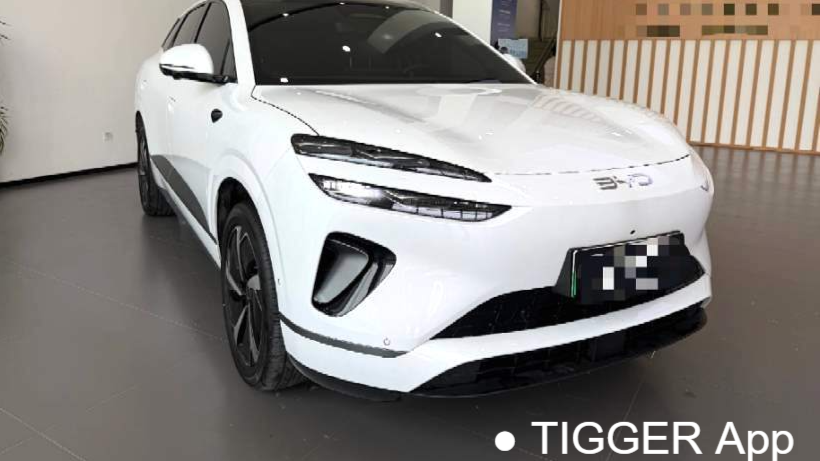 BYD 2025 Sea Lion 06 DM-i 170 Navigation Pro Edition