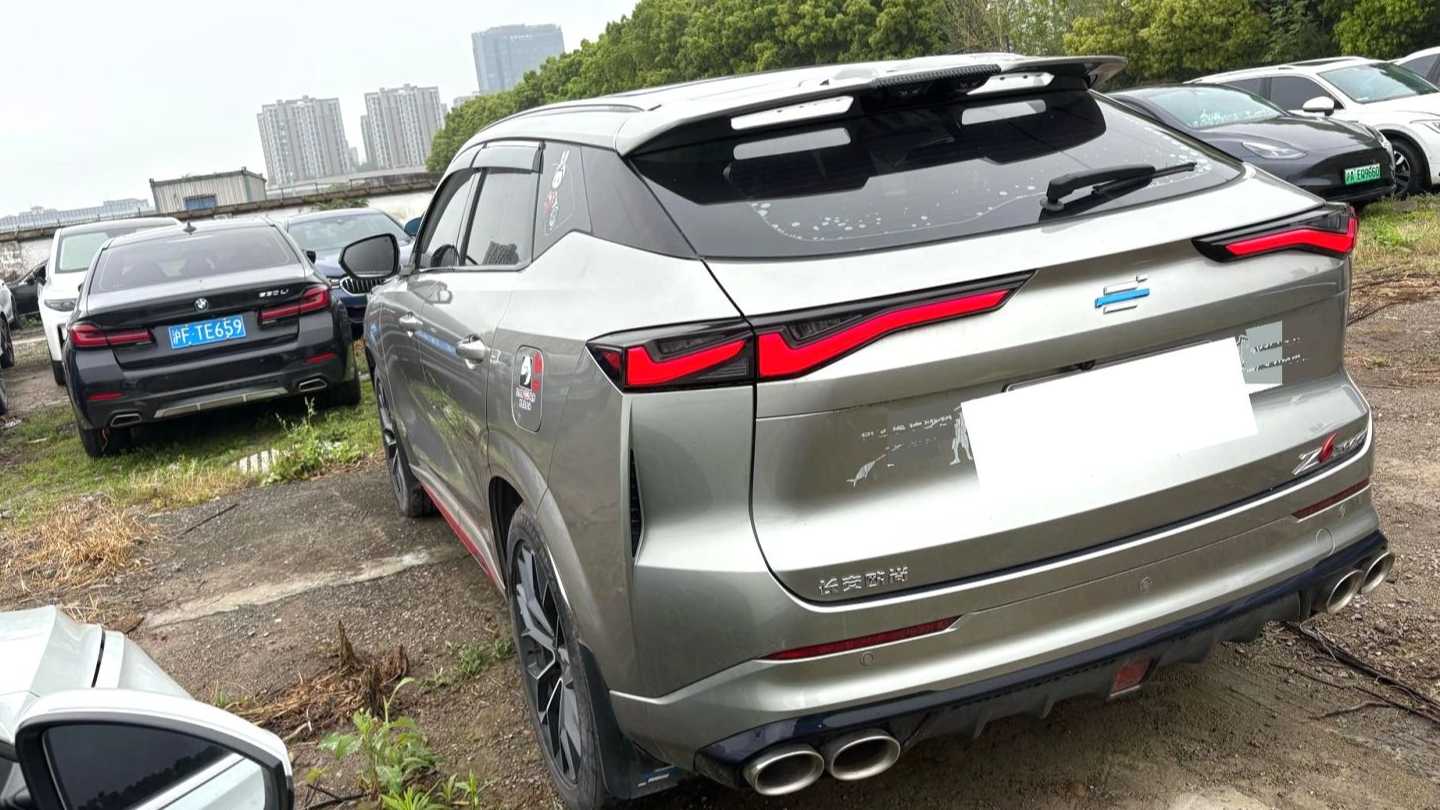 OSHAN 2023 Z6 Blue Whale 2.0T Automatic Intelligent Driving Type