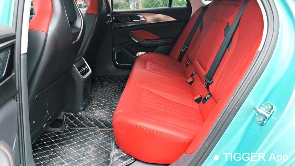 Hong Qi 2023 H6 2.0T Zhimei Edition