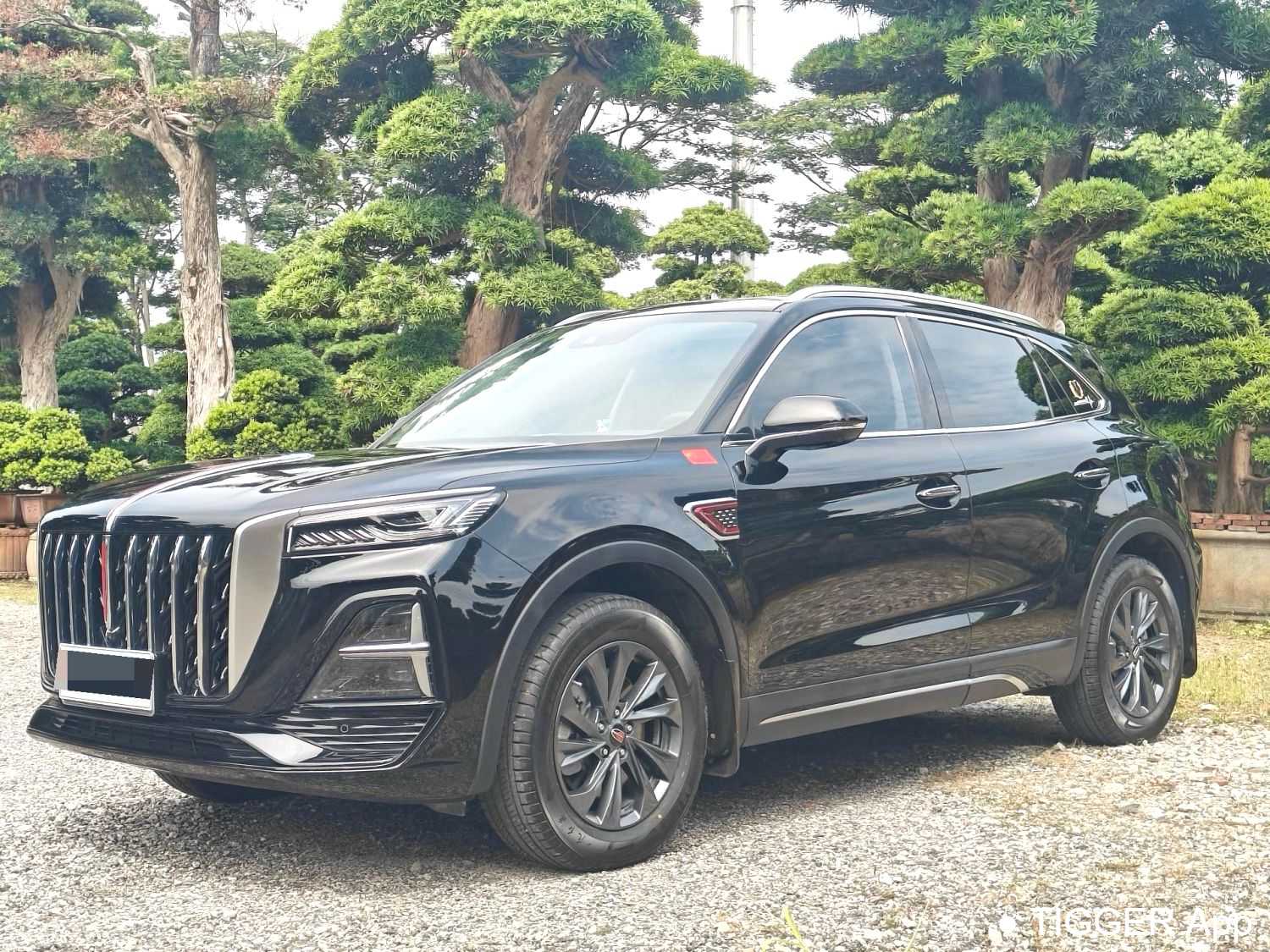 مستعمل Hong Qi 2025 HS5 2.0T 2WD Flagship Pro Edition