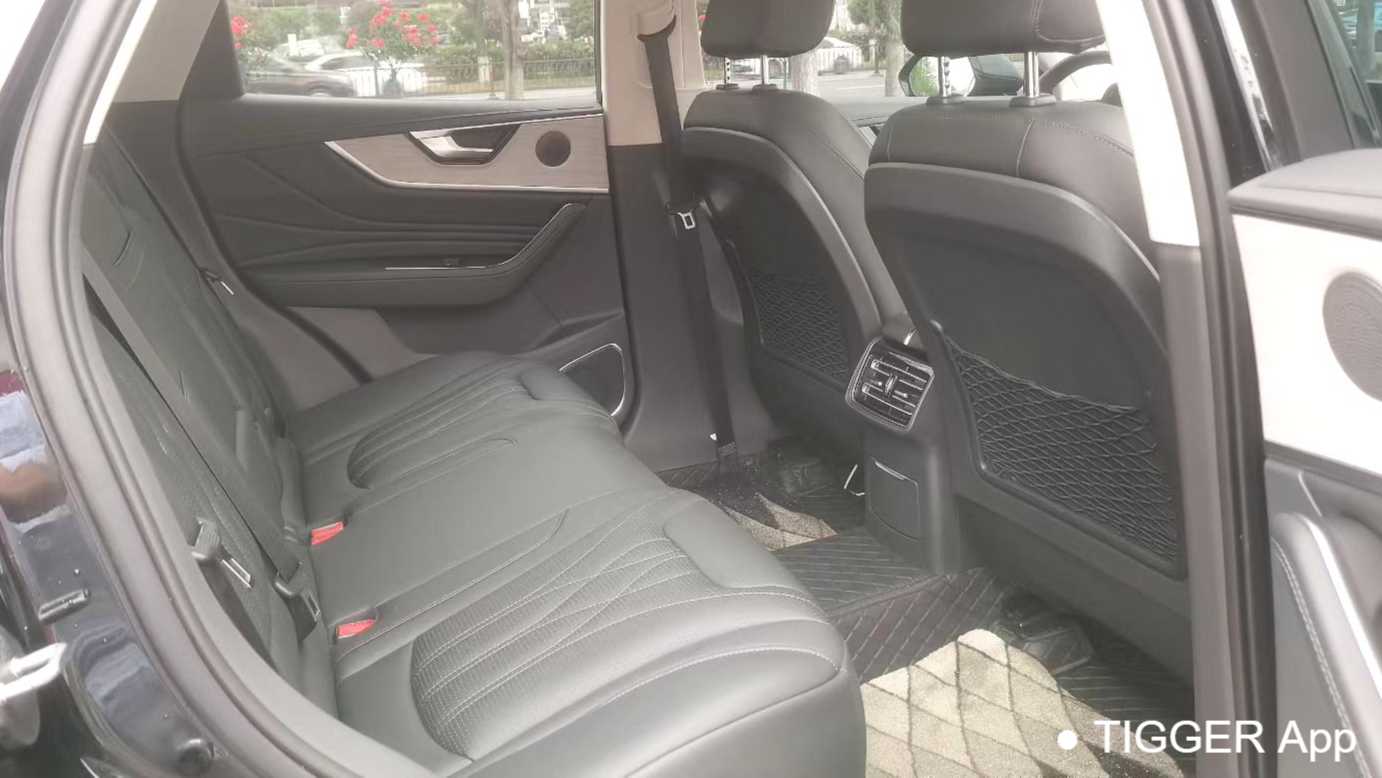 Hong Qi 2025 HS5 2.0T two wheel drive 600000 commemorative edition