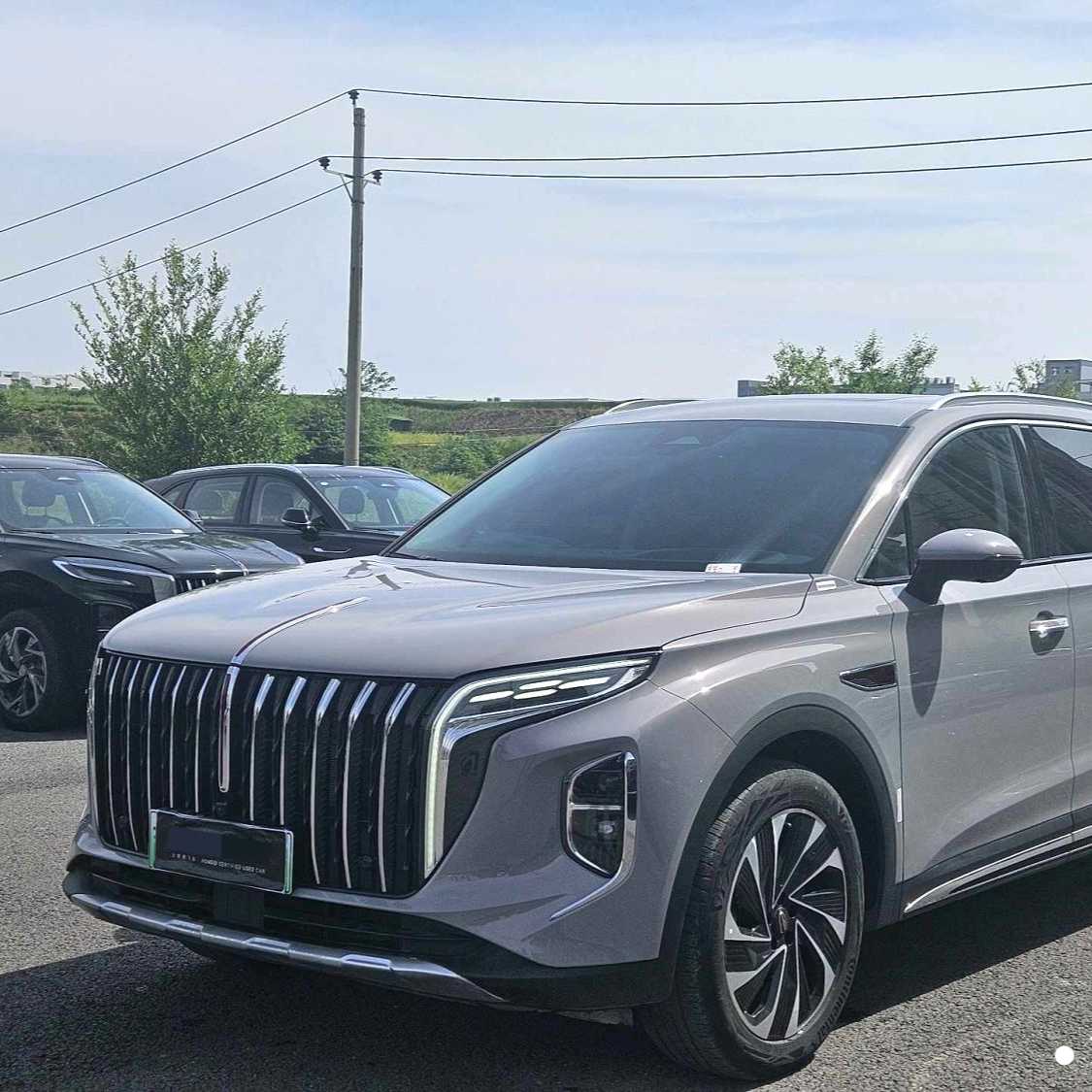 Hong Qi 2024 HS7 2.0T PHEV four-wheel drive flagship version 6-seater Подержанный автомобиль