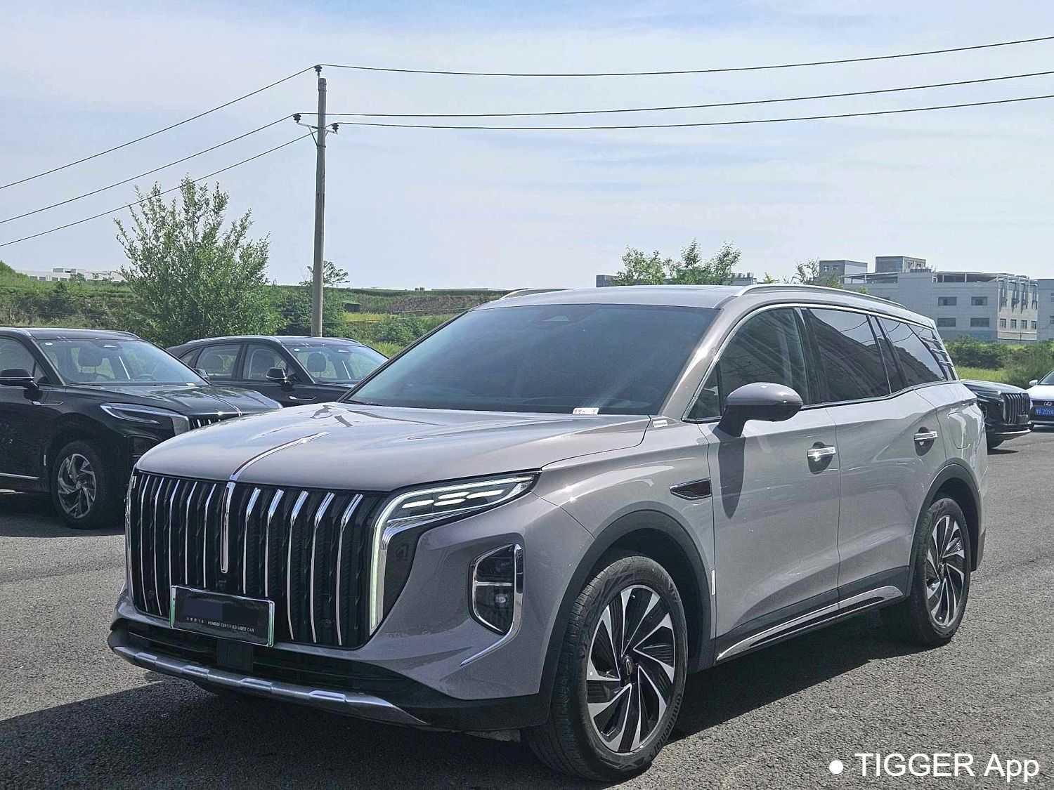 Подержанный Hong Qi 2024 HS7 2.0T PHEV four-wheel drive flagship version 6-seater