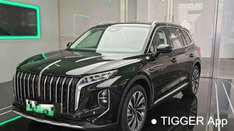 Hong Qi 2024 HS7 2.0T automatic four-wheel drive Qichang version six seater