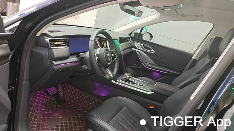 Hong Qi 2024 HS7 2.0T automatic four-wheel drive Qichang version six seater