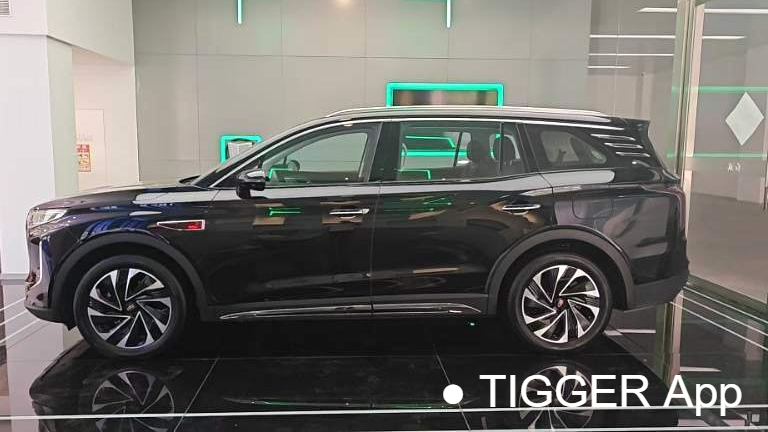 Hong Qi 2024 HS7 2.0T automatic four-wheel drive Qichang version six seater
