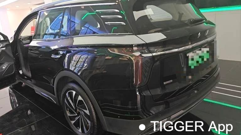 Hong Qi 2024 HS7 2.0T automatic four-wheel drive Qichang version six seater