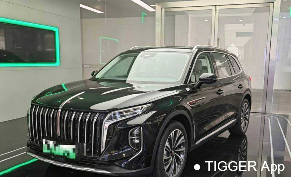Подержанный Hong Qi 2024 HS7 2.0T automatic four-wheel drive Qichang version six seater