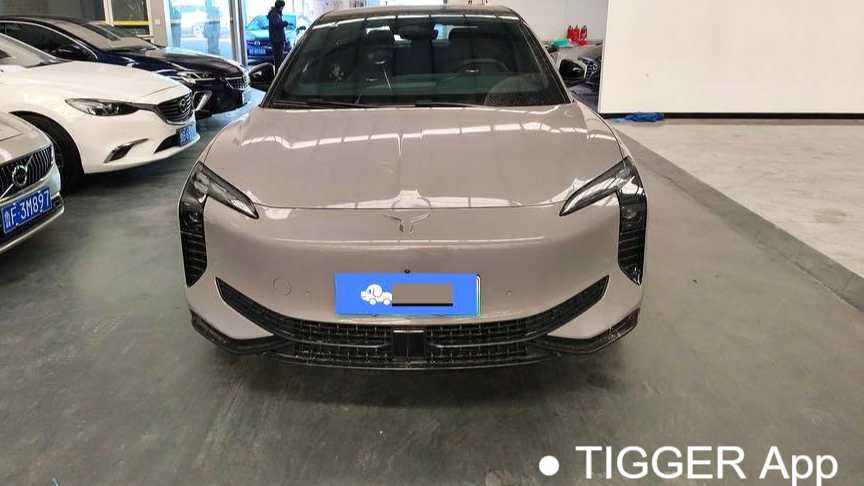 Hong Qi 2024 EH7 690 Pro Honor Edition