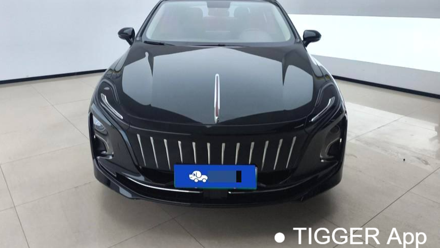 Hong Qi 2022 E-QM5 NetEase Charging Basic Edition 5-seater