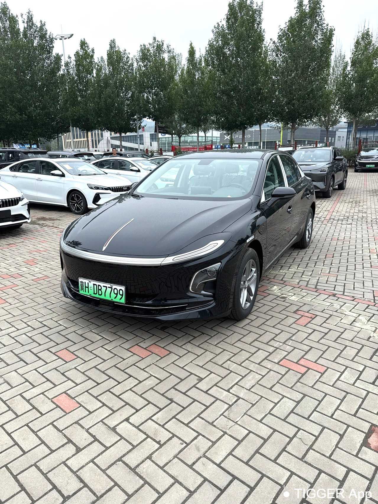 Used Hong Qi 2025 E-QM5 500km travel version