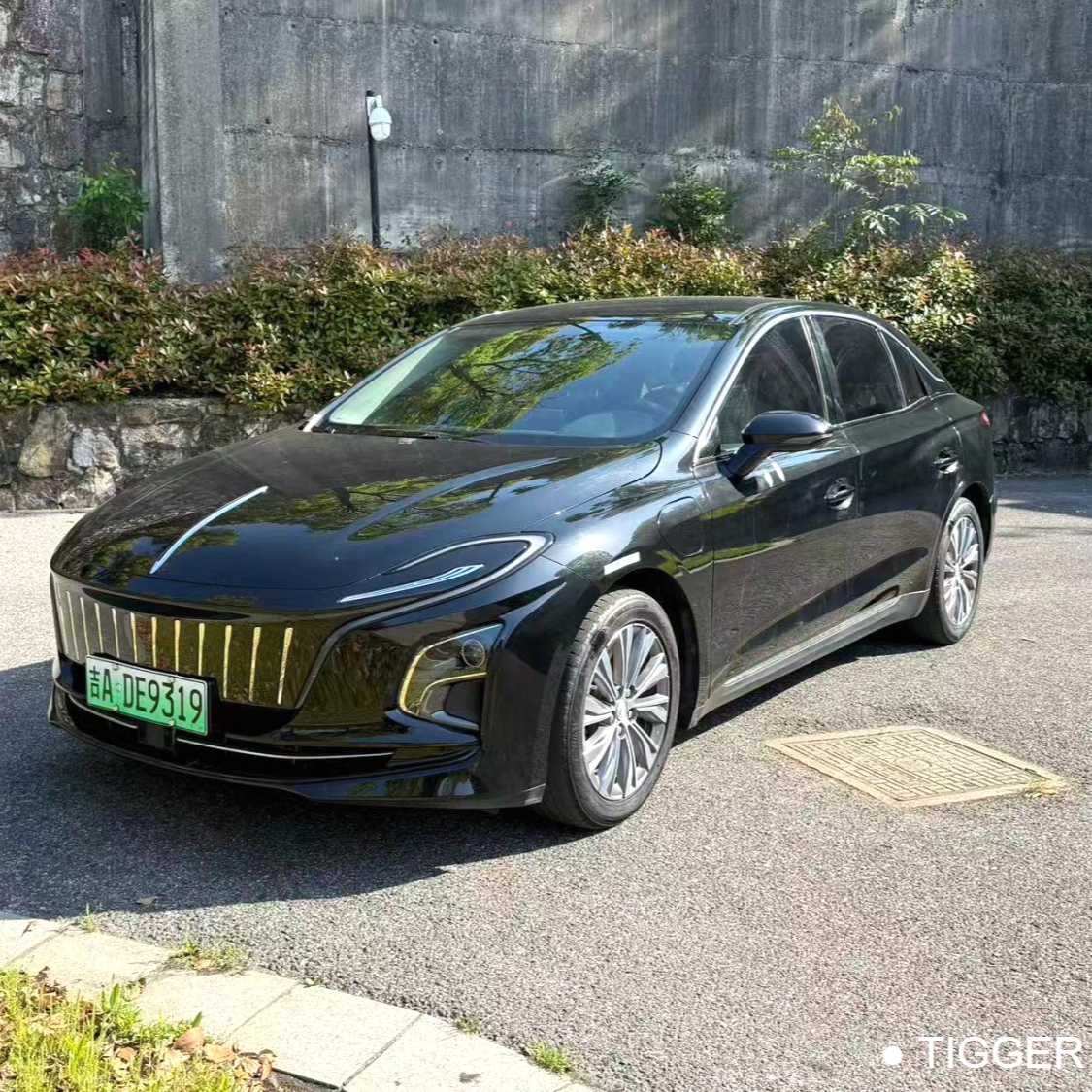 Hong Qi 2022 E-QM5 431km Charging Enjoyment Edition Used Car