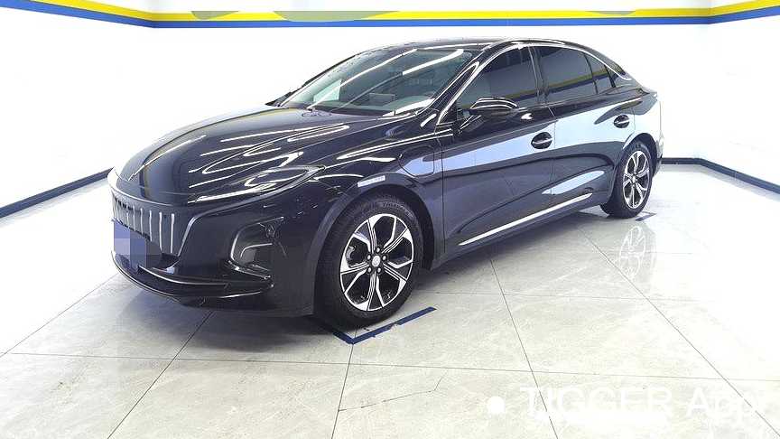 Hong Qi 2023 E-QM5 Basic Travel Edition