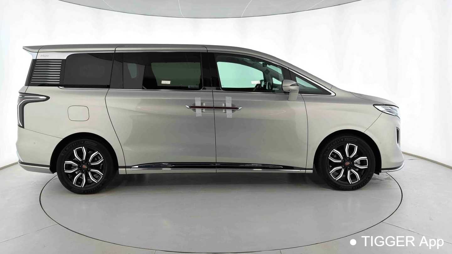 Hong Qi 2023 HQ9 2.0T Smart Alliance Flag Leading Edition