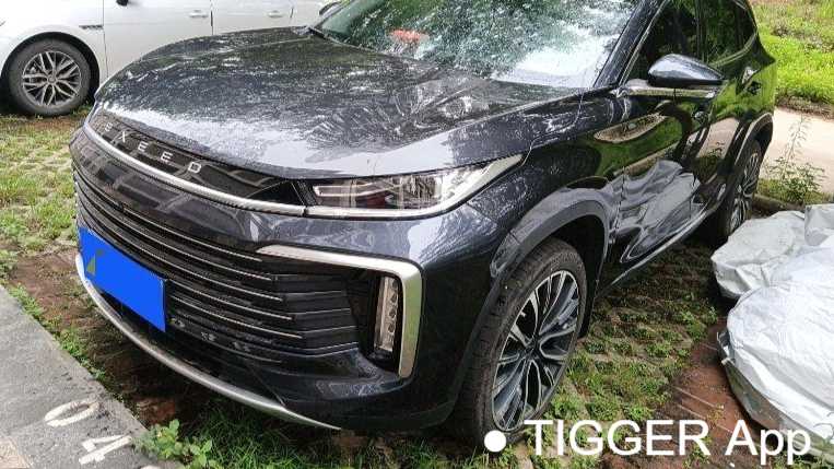 EXEED 2024 Lingyun 400T two wheel drive Star Edition