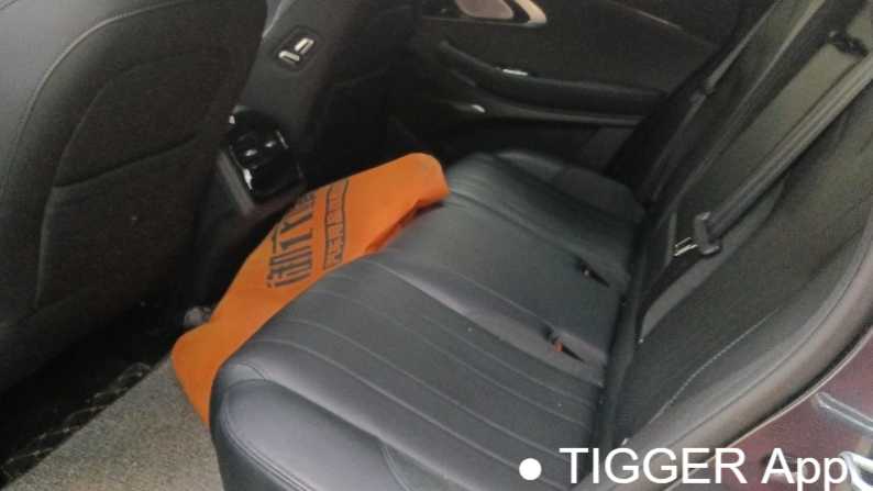 EXEED 2024 Lingyun 400T two wheel drive Star Edition