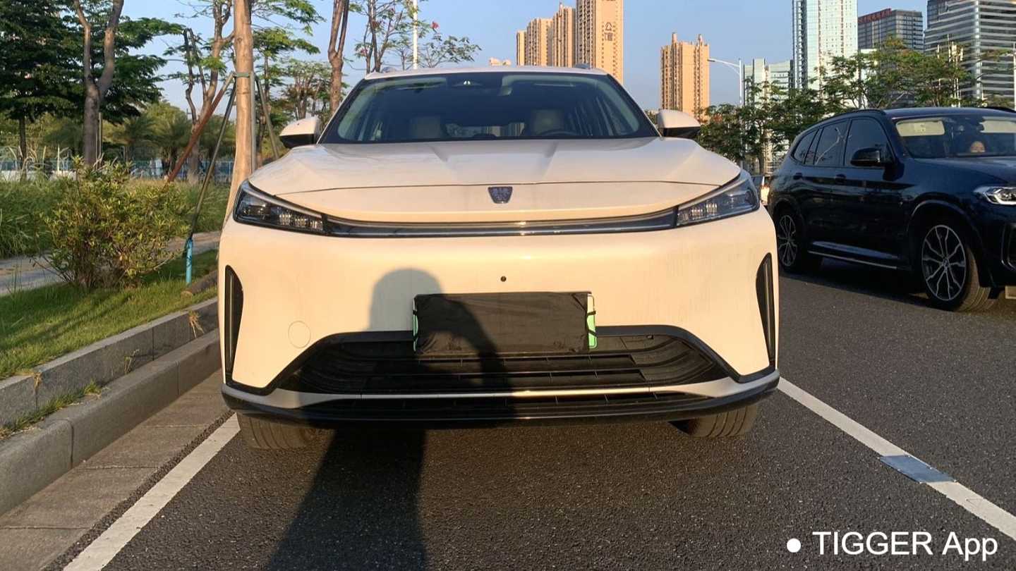 ROEWE D5X DMH 2024 135 Technology Edition