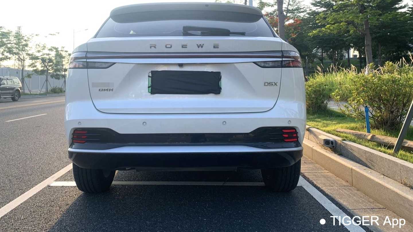 ROEWE D5X DMH 2024 135 Technology Edition