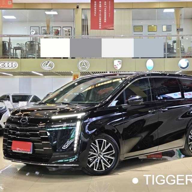 GAC E8 2024 Honor Series 2.0L Honor Edition Used Car