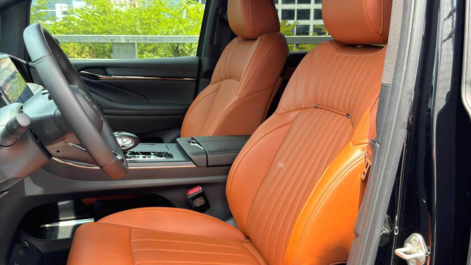 GAC E9 2024 E9 Premium Edition