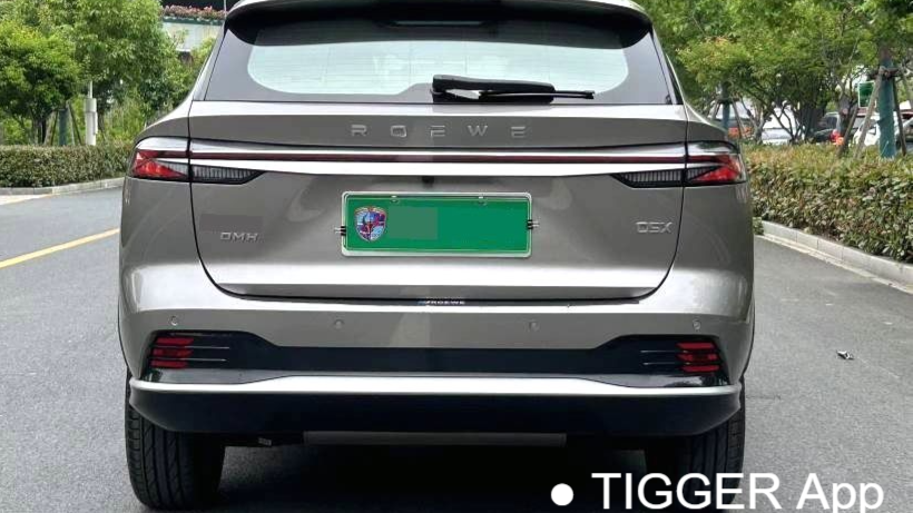 ROEWE D5X DMH 2024 135 Flagship Edition