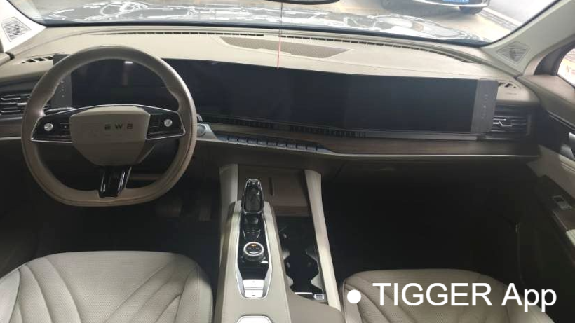 ROEWE RX9 2023 2.0T 4WD Enjoyment Edition