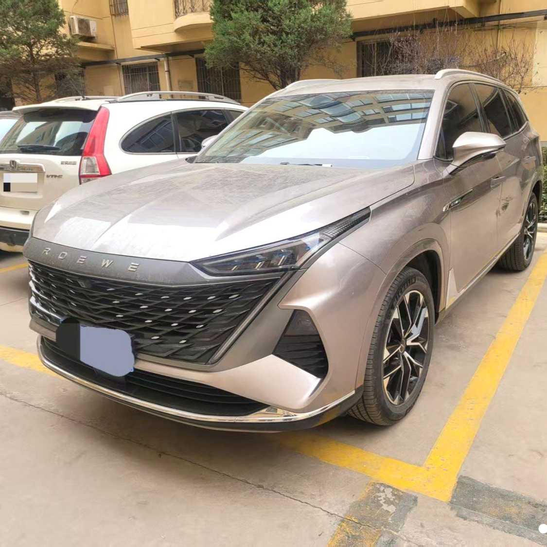 ROEWE RX9 2023 2.0T 2WD Enjoyment Edition 二手车